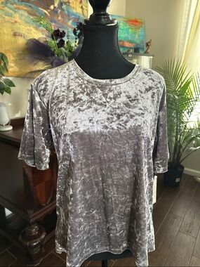 Love on a Hanger- Crushed Velvet Short Sleeve Tee in Silver Gray